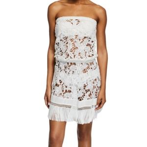 RAMY BROOK Delphi Strapless Lace Coverup Dress
